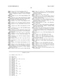 Circovirus Sequences Associated With Piglet Weight Loss Disease (PWD) diagram and image