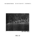 MAGNETIC IMMUNOSENSOR AND METHOD OF USE diagram and image