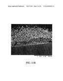 MAGNETIC IMMUNOSENSOR AND METHOD OF USE diagram and image