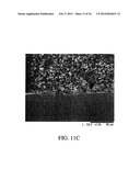 MAGNETIC IMMUNOSENSOR AND METHOD OF USE diagram and image