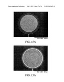 MAGNETIC IMMUNOSENSOR AND METHOD OF USE diagram and image