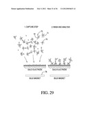 MAGNETIC IMMUNOSENSOR AND METHOD OF USE diagram and image