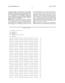 MODIFIED LUCIOLA CRUCIATA LUCIFERASE PROTEIN diagram and image