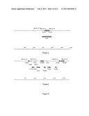 PENTOSE SUGAR FERMENTING CELL diagram and image