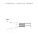 Neutralising Antibody Molecules Having Specificity for Human IL-17 diagram and image