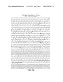 Isolated plant deoxyhypusine synthase and nucleotides encoding same diagram and image