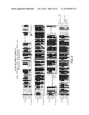 Isolated plant deoxyhypusine synthase and nucleotides encoding same diagram and image