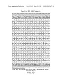 Isolated plant deoxyhypusine synthase and nucleotides encoding same diagram and image