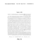 Isolated plant deoxyhypusine synthase and nucleotides encoding same diagram and image