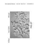 Isolated plant deoxyhypusine synthase and nucleotides encoding same diagram and image