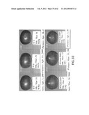 Isolated plant deoxyhypusine synthase and nucleotides encoding same diagram and image