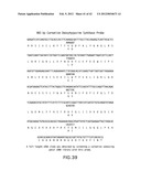 Isolated plant deoxyhypusine synthase and nucleotides encoding same diagram and image