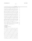 Isolated plant deoxyhypusine synthase and nucleotides encoding same diagram and image