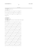 Isolated plant deoxyhypusine synthase and nucleotides encoding same diagram and image