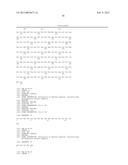 Isolated plant deoxyhypusine synthase and nucleotides encoding same diagram and image