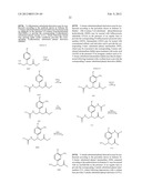 GAMMA-AMINO-BUTYRIC ACID DERIVATIVES AS GABAB RECEPTOR LIGANDS diagram and image