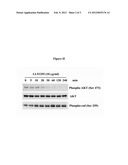 ANALOGS OF 3-O-ACETYL-11-KETO-BETA-BOSWELLIC ACID diagram and image