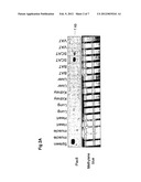 USE OF INHIBITORS OF PLAC8 ACTIVITY FOR THE MODULATION OF ADIPOGENESIS diagram and image