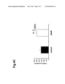 USE OF INHIBITORS OF PLAC8 ACTIVITY FOR THE MODULATION OF ADIPOGENESIS diagram and image