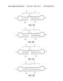 SINGLE-STRANDED NUCLEIC ACID MOLECULE HAVING NITROGEN-CONTAINING ALICYCLIC     SKELETON diagram and image