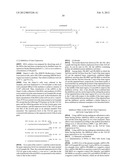 SINGLE-STRANDED NUCLEIC ACID MOLECULE HAVING NITROGEN-CONTAINING ALICYCLIC     SKELETON diagram and image