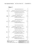 RNA Interference Mediated Inhibition of Signal Transducer and Activator of     Transcription 6 (STAT6) Gene Expression Using Short Interfering Nucleic     Acid (siNA) diagram and image