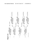 RNA Interference Mediated Inhibition of Signal Transducer and Activator of     Transcription 6 (STAT6) Gene Expression Using Short Interfering Nucleic     Acid (siNA) diagram and image