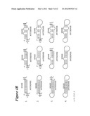 RNA Interference Mediated Inhibition of Signal Transducer and Activator of     Transcription 6 (STAT6) Gene Expression Using Short Interfering Nucleic     Acid (siNA) diagram and image