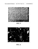 FORMING COPOLYMER FROM BICONTINUOUS MICROEMULSION COMPRISING MONOMERS OF     DIFFERENT HYDROPHILICITY diagram and image