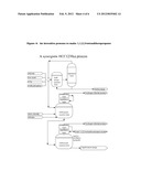 METHODS OF MAKING CHLORINATED HYDROCARBONS diagram and image