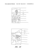 Tissue Imaging And Treatment Method diagram and image