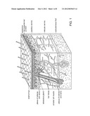 METHODS FOR APPLYING A SKIN GRAFT diagram and image