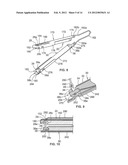 APPARATUS AND METHODS FOR OCCLUDING AN ANATOMICAL STRUCTURE diagram and image