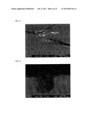 BIODEGRADABLE IMPLANT AND METHOD FOR MANUFACTURING SAME diagram and image