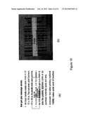 EMBEDDED MEDIA BARCODE LINKS AND SYSTEMS AND METHODS FOR GENERATING AND     USING THEM diagram and image