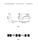 USE OF MAGNETIC NANOPARTICLES TO REMOVE ENVIRONMENTAL CONTAMINANTS diagram and image