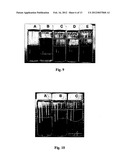 USE OF MAGNETIC NANOPARTICLES TO REMOVE ENVIRONMENTAL CONTAMINANTS diagram and image