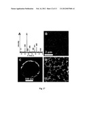 USE OF MAGNETIC NANOPARTICLES TO REMOVE ENVIRONMENTAL CONTAMINANTS diagram and image