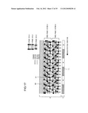 AC Generator for Vehicle diagram and image