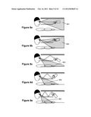 System and Method for Integrating Gaze Tracking with Virtual Reality or     Augmented Reality diagram and image