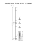 METHOD AND APPARATUS FOR SUPPORTING MULTIPLE CARRIERS diagram and image