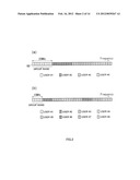 BASE STATION APPARATUS, MOBILE TERMINAL APPARATUS, AND INFORMATION     TRANSMISSION METHOD diagram and image