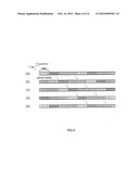 BASE STATION APPARATUS, MOBILE TERMINAL APPARATUS, AND INFORMATION     TRANSMISSION METHOD diagram and image