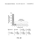 VIRAL NANOPARTICLE CELL-TARGETED DELIVERY PLATFORM diagram and image