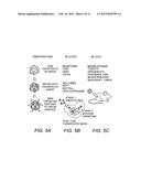 VIRAL NANOPARTICLE CELL-TARGETED DELIVERY PLATFORM diagram and image