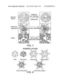 VIRAL NANOPARTICLE CELL-TARGETED DELIVERY PLATFORM diagram and image