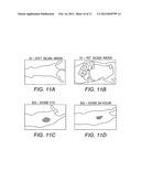 VIRAL NANOPARTICLE CELL-TARGETED DELIVERY PLATFORM diagram and image