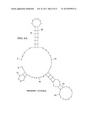 APTAMER-CONTAINING COMPOSITIONS AND METHODS FOR TARGETING E-SELECTIN diagram and image