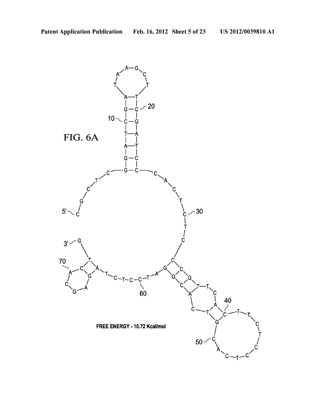 APTAMER-CONTAINING COMPOSITIONS AND METHODS FOR TARGETING E-SELECTIN - diagram, schematic, and image 06