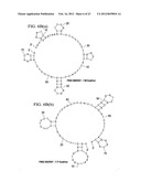 APTAMER-CONTAINING COMPOSITIONS AND METHODS FOR TARGETING E-SELECTIN diagram and image